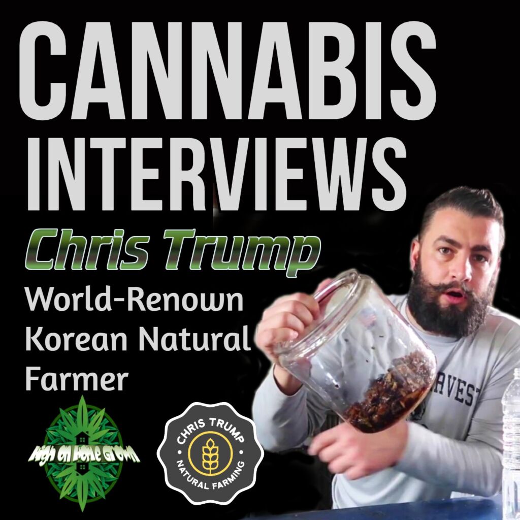 chris trump interview, interview with chris trump, knf, cannabis podcast, high on home grown, cannabis interviews, interviews with stoners, hohg interviews, high on home grown interviews, podcasts about cannabis,
