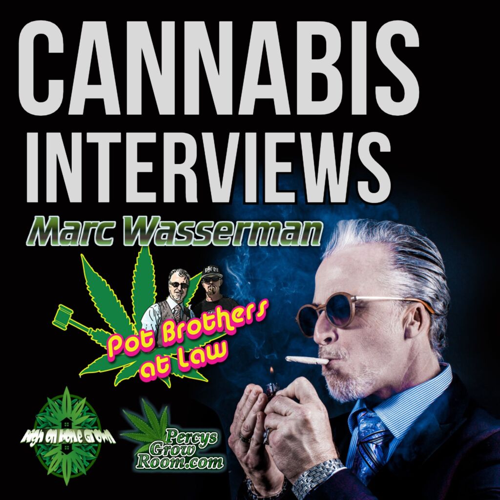 pot brothers at law interview, interview with pot borthers, stfu guys, stick to the script, pots brother at law, cannabis podcast, high on home grown, cannabis interviews, interviews with stoners, hohg interviews, high on home grown interviews, podcasts about cannabis,