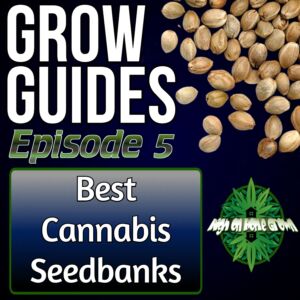 Where to Buy Cannabis Seeds and Cuttings, Cannabis grow guides, how to grow cannabis, cannabis podcasts, homegrown cannabis podcasts, high on home grown,