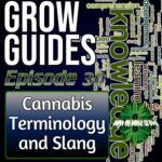 Terminology and slang used by cannabis growers, cannabis podcasts, high on home grown, homegrown cannabis podcasts, podcast for cannabis growing,