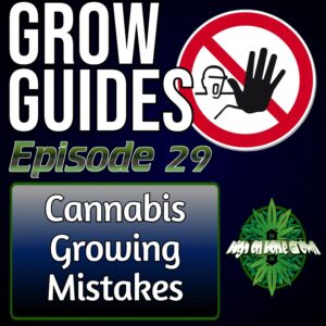 Avoid Making These Mistakes When Growing Cannabis, homegrown cannabis podcast, high on home grown, learn to grow cannabis, podcast for cannabis growers,