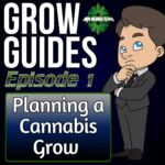 planning your first cannabis grow, cannabis grow guides, learn how to grow cannabis, cannabis podcast, homegrown cannabis podcast,