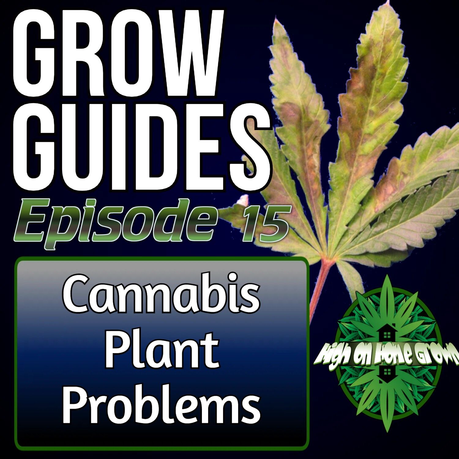 cannabis plant problems, sick cannabis plant, help fixing a sick cannabis plant, high on home grown, cannabis podcast, homegrown cannabis podcast, cannabis plant help,