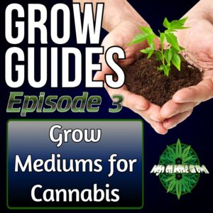 what is the best medium for growing cannabis, cannabis grow guides, cannabis podcasts, high on home grown, homegrown cannabis podcasts,