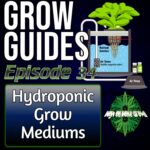 Hydroponics for Growing Cannabis, high on home grown, homegrown cannabis podcast, learn to grow cannabis podcast, grow guides, cannabis grow guides podcasts,
