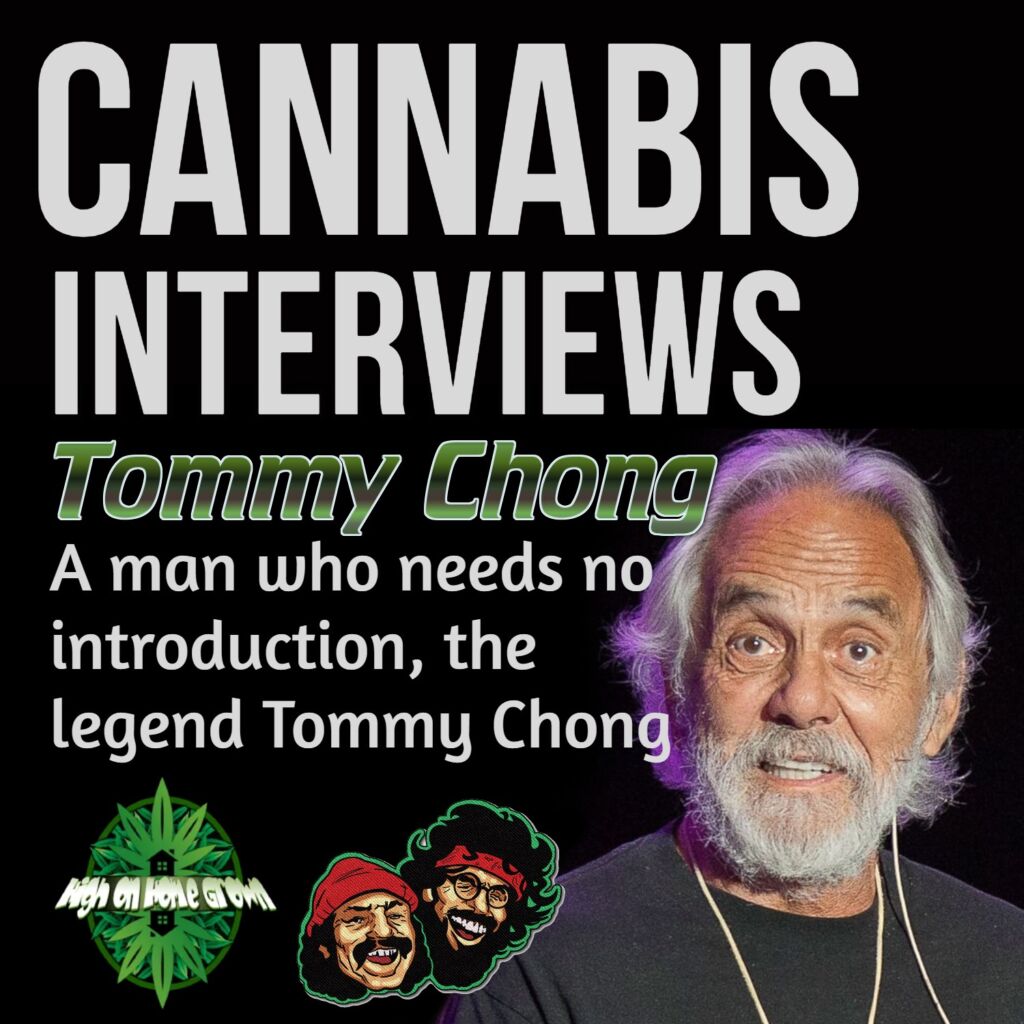 Cannabis interviews, tommy chong, cannabis podcast, high on home grown, 