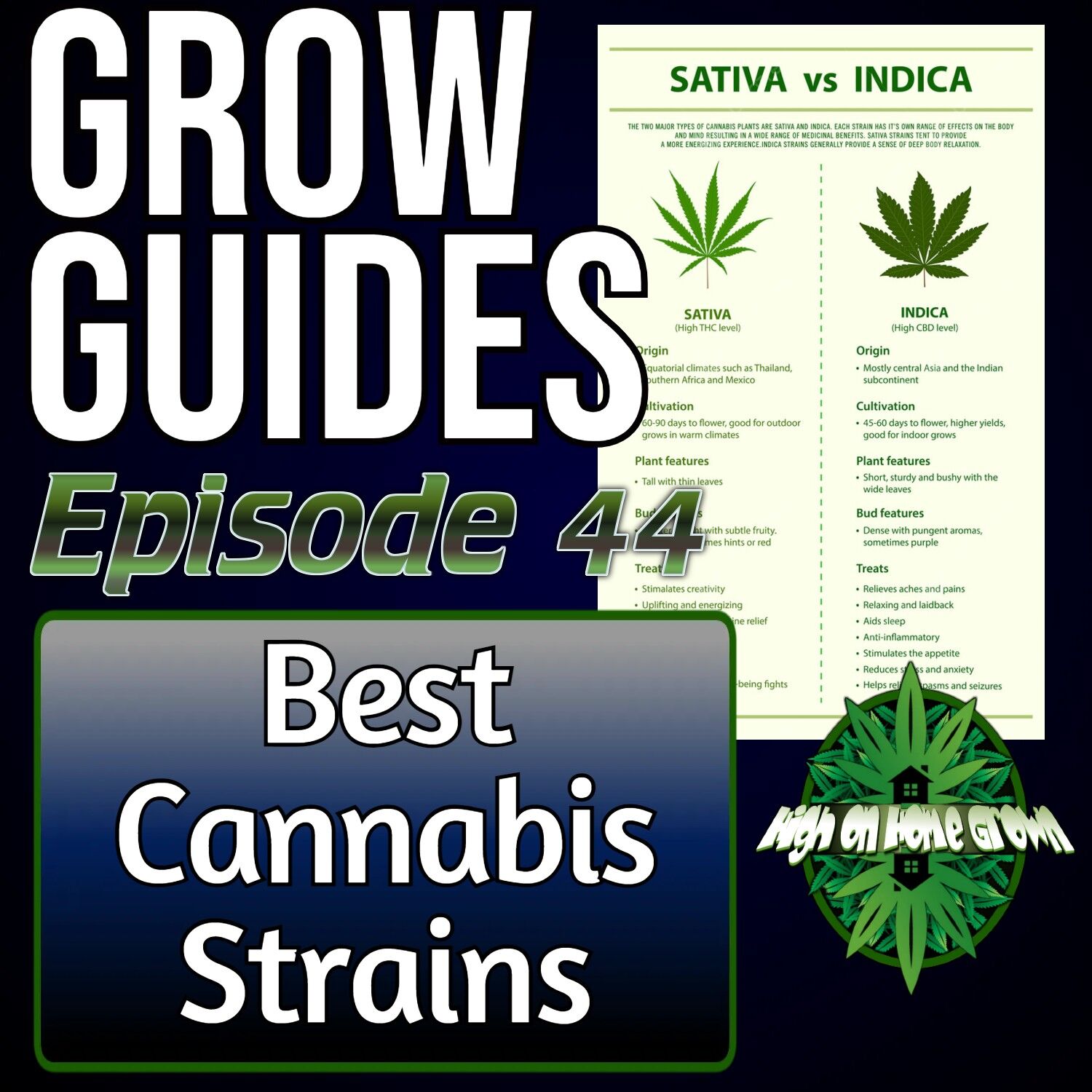 best cannabis strains, cannabis podcasts, podcasts about cannabis, learn how to grow cannabis,