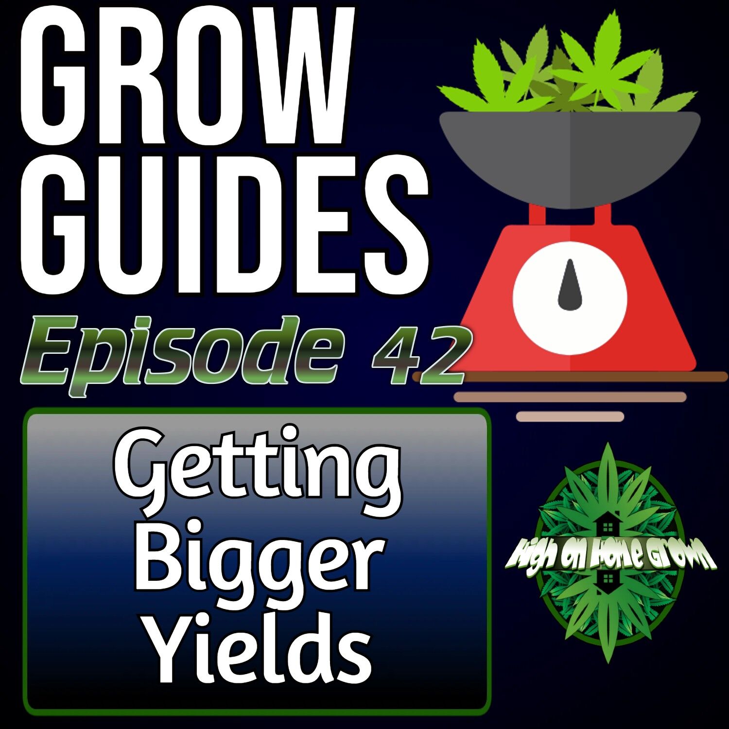 How to Get Big Yields, cannabis podcasts, podcast for cannabis growers, how to get big cannabis plants, best way to grow cannabis, podcast for new cannabis growers,