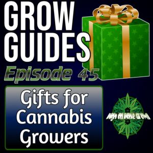 Gifts for Cannabis Users, cannabis podcasts, podcasts for cannabis growers, learn how to grow cannabis, best cannabis podcasts, where to buy bongs, best headshop online,