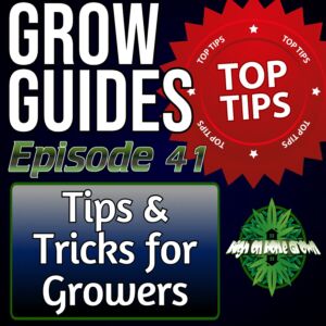 Tips and Tricks for Growing Cannabis, cannabis podcasts, high on home grown, podcast for cannabis growers, tips for growing cannabis, tips for new cannabis growers,
